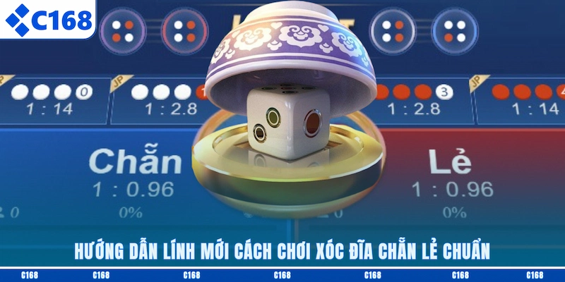 Hướng dẫn lính mới cách chơi Xóc Đĩa chẵn lẻ chuẩn