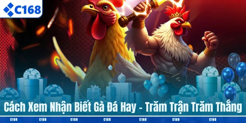 Cách nhận biết gà đá hay